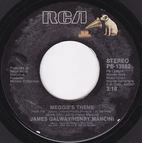 James Galway - Meggie's Theme
