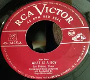 Jan Peerce Composed And Conducted By Hugo Winterhalter - What Is A Boy / Because Of You