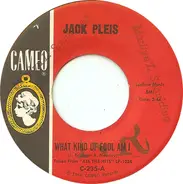 Jack Pleis - What Kind Of Fool Am I