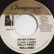 Jah Mason / Delly Ranks & Wallabee - Here Comes The Day / Never Stray