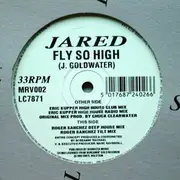 12inch Vinyl Single - Jared - Fly So High