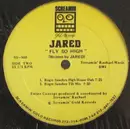 12inch Vinyl Single - Jared - Fly So High