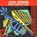 12inch Vinyl Single - Jesse Johnson - Every Shade Of Love