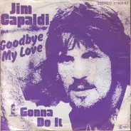 Jim Capaldi - Goodbye My Love