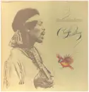 LP - Jimi Hendrix - Crash Landing - + Insert