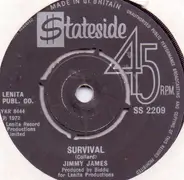 Jimmy James - A Man Like Me / Survival