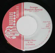 Jimmy Sturr And His Orchestra - Orange Blossom Special / Tennessee Waltz