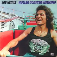 Joe Vitale - Roller Coaster Weekend