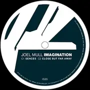 2 x 12inch Vinyl Single - Joel Mull - Imagination