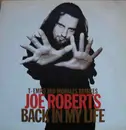 12inch Vinyl Single - Joe Roberts - Back In My Life