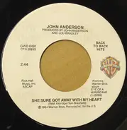 John Anderson - She Sure Got Away With My Heart