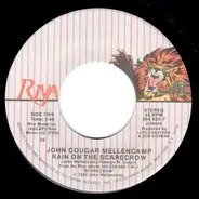 John Cougar Mellencamp - Rain On The Scarecrow