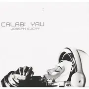 CD - joseph suchy - calabi.yau