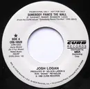 7inch Vinyl Single - Josh Logan - Somebody Paints The Wall