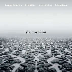 Mil - Still Dreaming