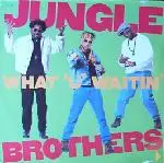 Jungle Brothers - What "U" Waitin' "4"?