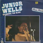 Junior Wells - Pleading the Blues