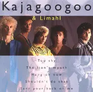 Kajagoogoo & Limahl - The Best Of