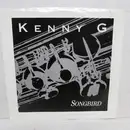 7inch Vinyl Single - Kenny G - Songbird - Promo