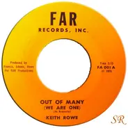Keith Rowe - Out Of Many (We Are One)