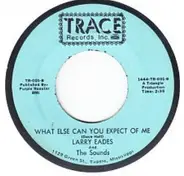 Larry Eades And The Sounds - I Feel The Wind / What Else Can You Expect Of Me