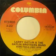 Larry Gatlin & The Gatlin Brothers - Sure Feels Like Love