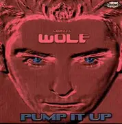 12'' - Laurent Wolf - Pump It Up