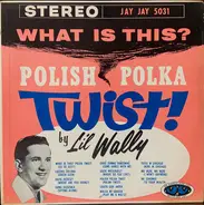 Li'l Wally And The Harmony Boys - What Is This?  Polish Polka Twist!