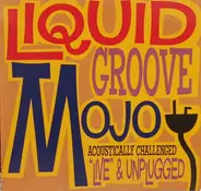Liquid Groove Mojo - live & unplugged