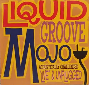 Liquid Groove Mojo - live & unplugged