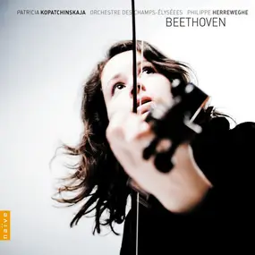 Herreweghe - Gesamtwerk für Violine und Orchester