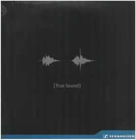 The Bassface Swing Trio - Sennheiser [True Sound]