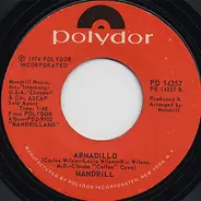 Mandrill - The Road To Love / Armadillo