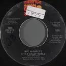 7inch Vinyl Single - Mac McAnally - It's A Crazy World