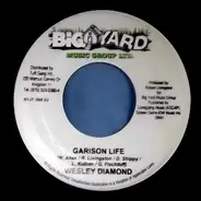 Macka Diamond / Wesley Diamond - Mi Confuse / Garison Life