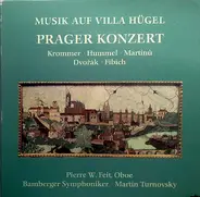 Krommer / Hummel / Martinu / Dvorak / Fibich - Musik Auf Villa Hügel - Prager Konzerte