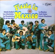 Mariachi Dimencion De Chucho Lopez - Fiesta In Mexico