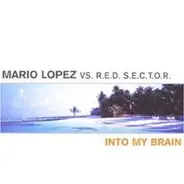 Mario Vs.Red Sector Lopez - Into My Brain