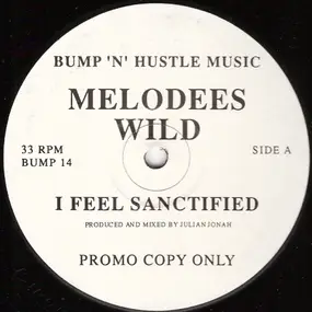 Melodees Wild - I Feel Sanctified