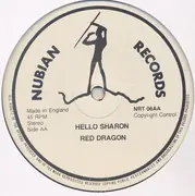 12inch Vinyl Single - Michael Maggotty / Red Dragon - Last December / Hello Sharon