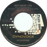 Mitch Ryder - What Now My Love