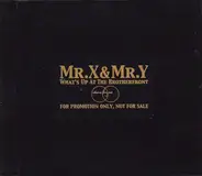 Mr. X & Mr. Y - What's Up At The Brotherfront