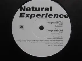 Natural Experience - Thing Called Love