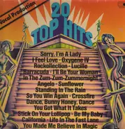 Neil Diamond a.o. - 20 Top Hits