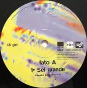 12inch Vinyl Single - Nek - Sei Grande RMX