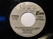 New York City - Take My Hand / Can't Survive Without My Sweets