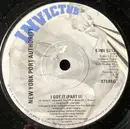 7inch Vinyl Single - New York Port Authority - I Got It