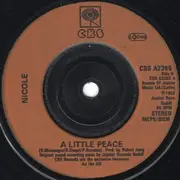 7'' - Nicole - A Little Peace