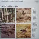 LP - No Artist - Stimmen Der Vögel Mitteleuropas - V. Vögel In Feld Und Flur