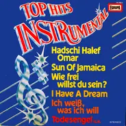 Orchester Udo Reichel - Top Hits Instrumental